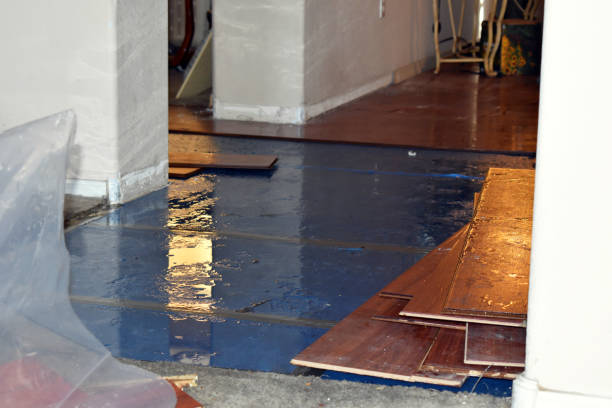 Professional Burst Pipe Cleanup technician working in Eleva, WI